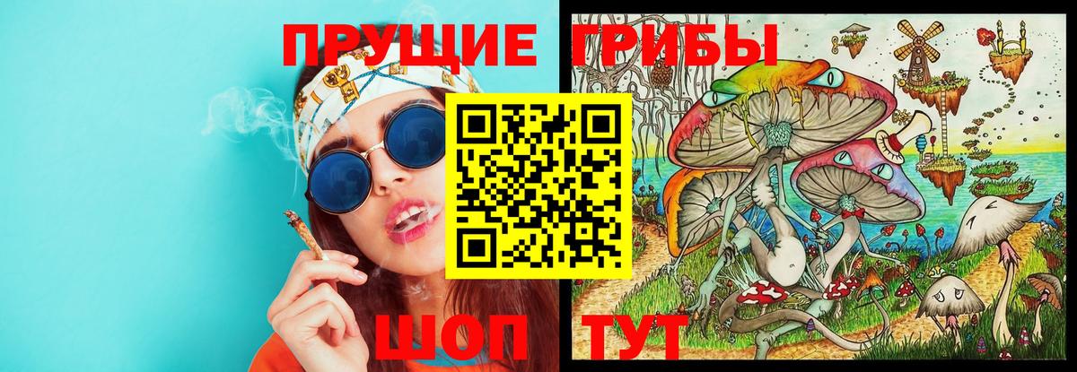 Усть-Джегута  Галлюциногенные грибы ЛСД  Псилоцибиновые грибы мухоморы  Вход с VPN 
